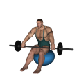 Anterior Raise - Fitness Ball Forward Barbell Wide